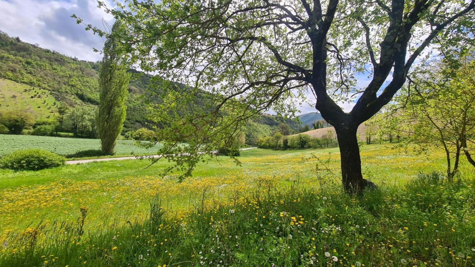 منزل الضيف Capodacqua   في Casa Zia Cianetta Residenza Di Campagna المظهر الخارجي الصورة